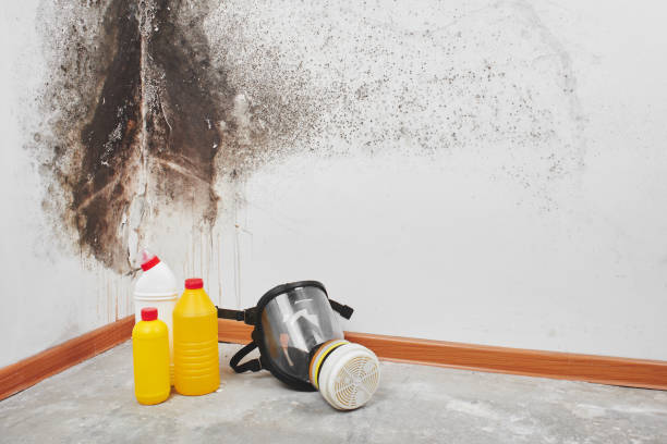 Fire Damage Restoration